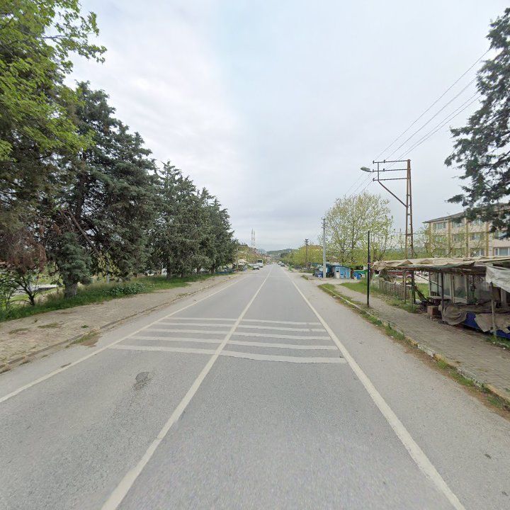 Fotoğraf 13