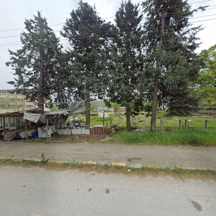Fotoğraf 10