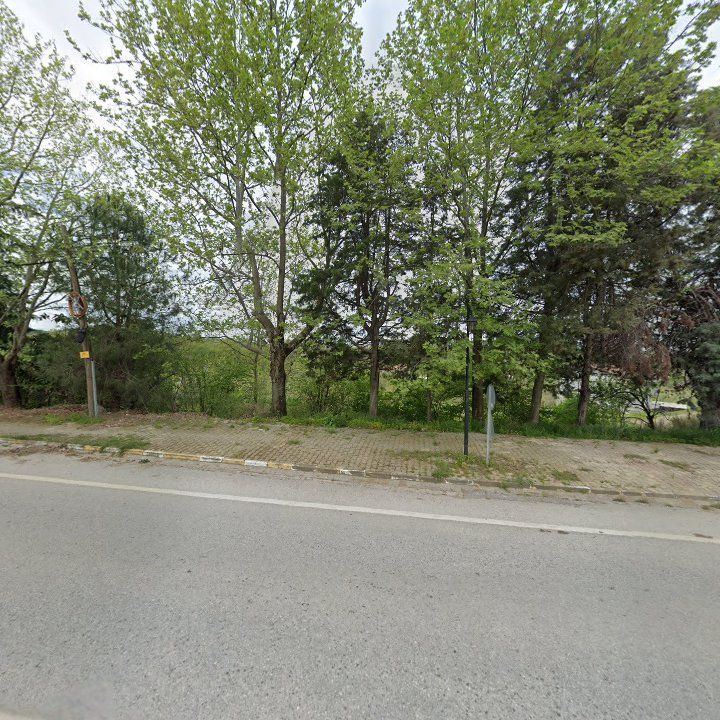 Fotoğraf 12