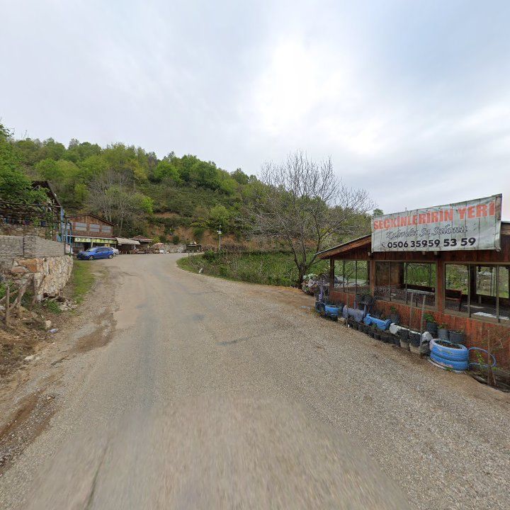 Fotoğraf 9