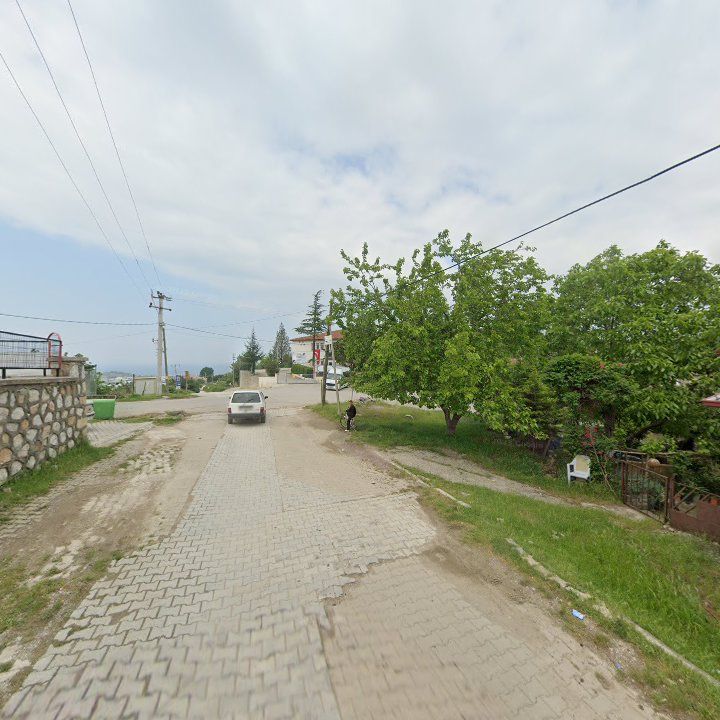 Fotoğraf 3