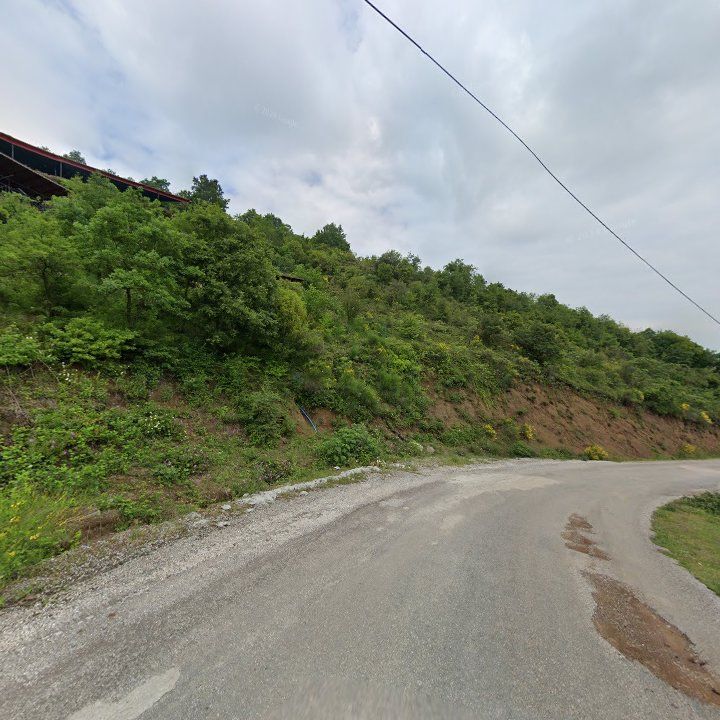 Fotoğraf 11