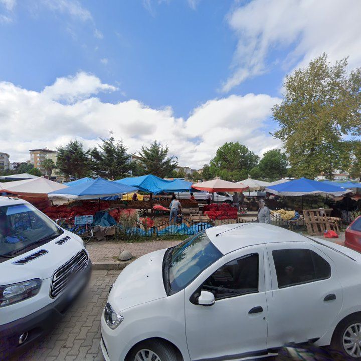 Fotoğraf 6