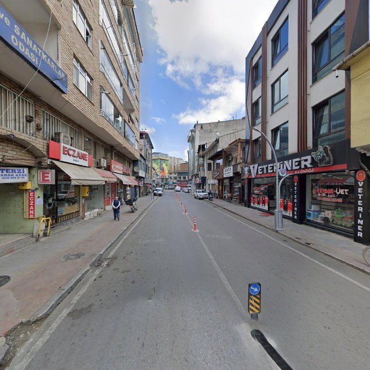 Fotoğraf 7