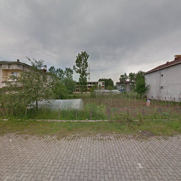 Fotoğraf 7