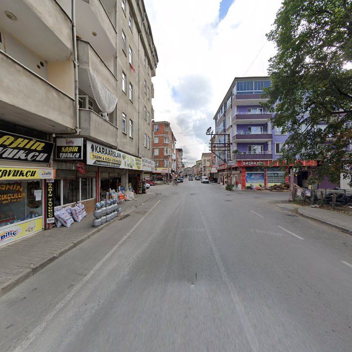 Fotoğraf 24