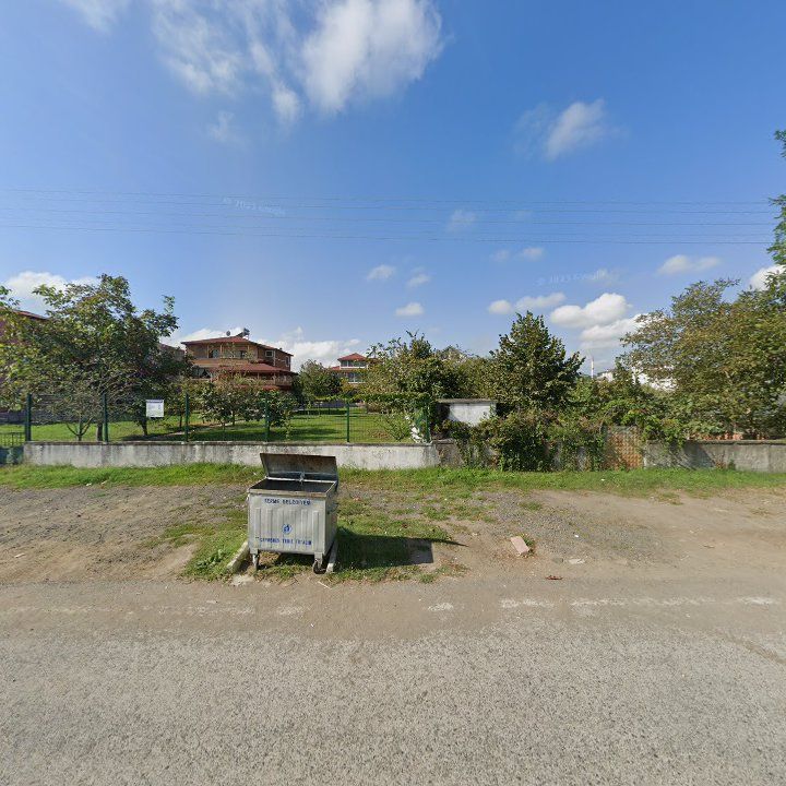 Fotoğraf 10