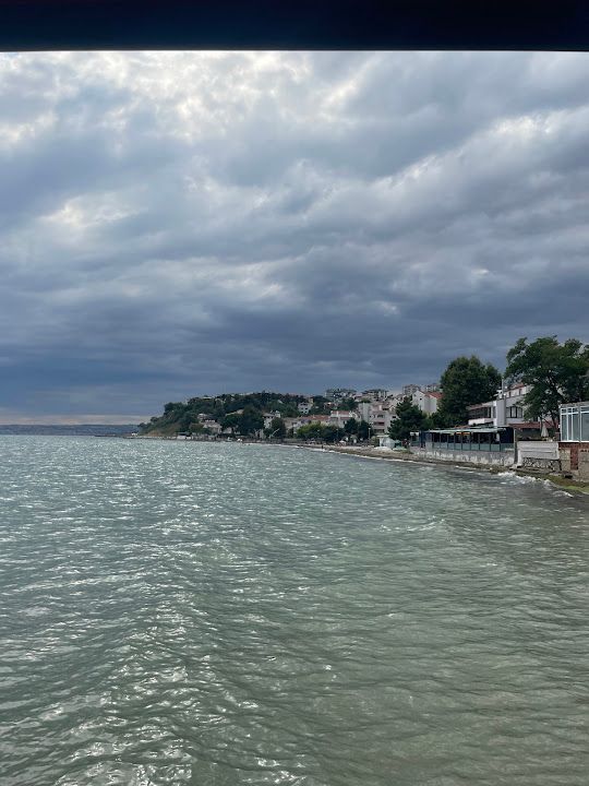 Fotoğraf 53
