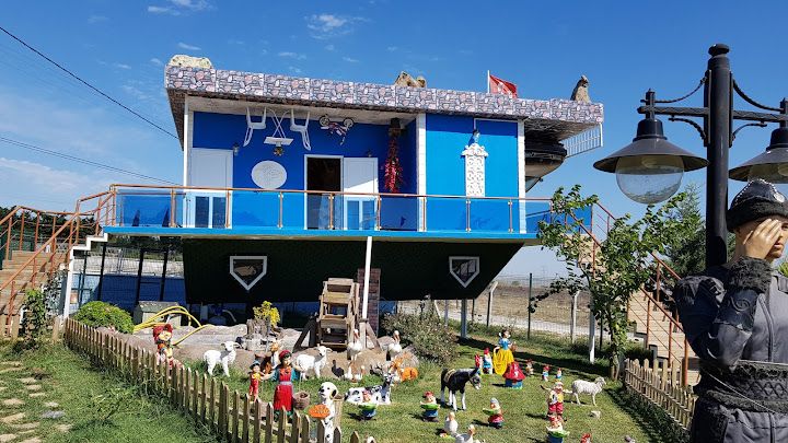 Fotoğraf 62