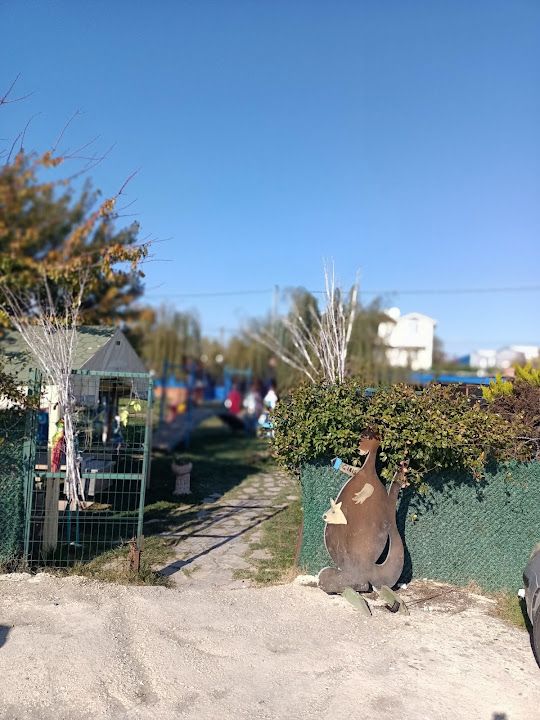 Fotoğraf 14