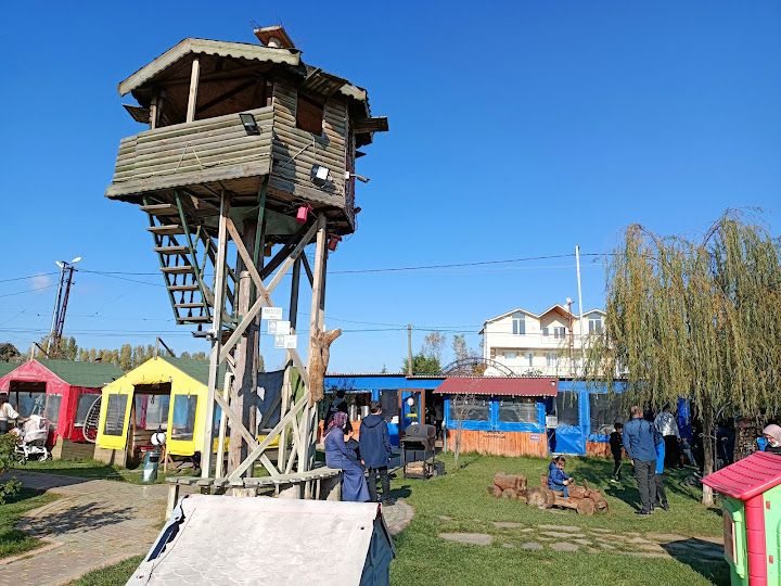 Fotoğraf 15