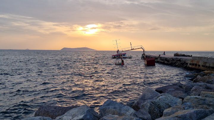 Fotoğraf 28