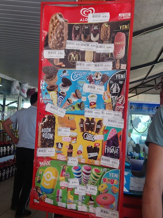 Fotoğraf 22