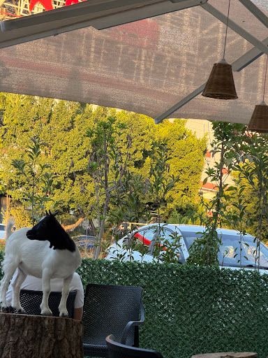 Fotoğraf 39