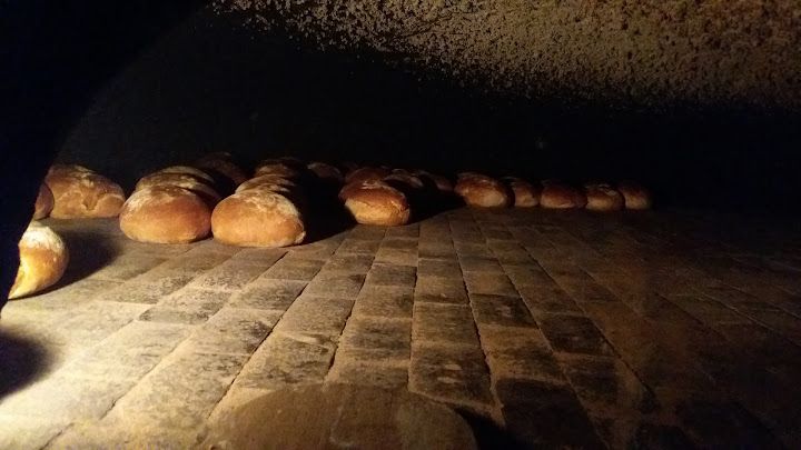 Fotoğraf 12