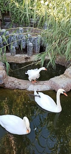 Yorum fotoğrafı 2