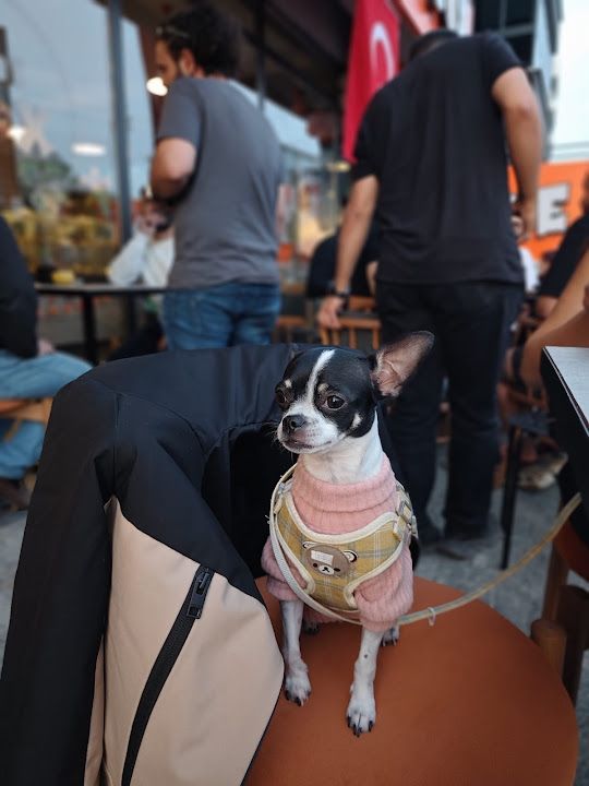Yorum fotoğrafı 2