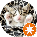 The Cat Maya