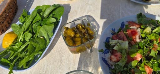Fotoğraf 15