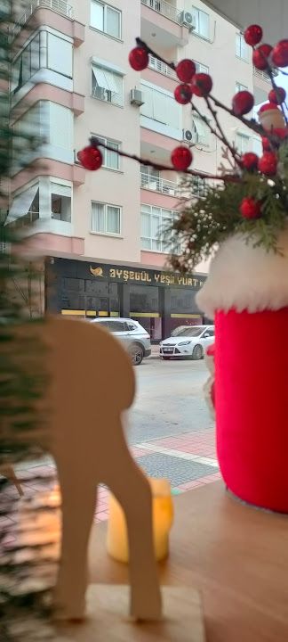 Yorum fotoğrafı 2