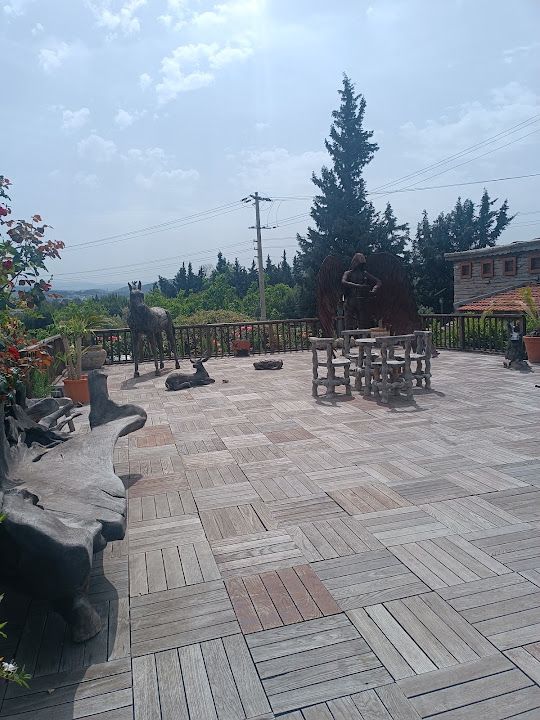 Fotoğraf 27