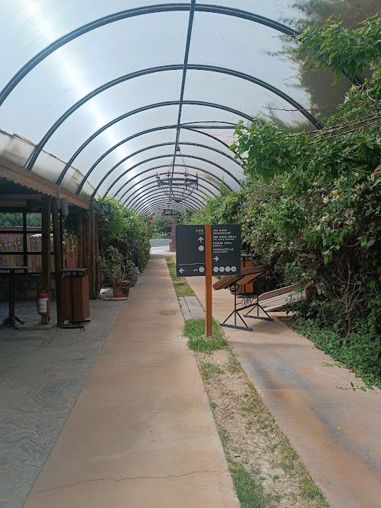 Fotoğraf 26