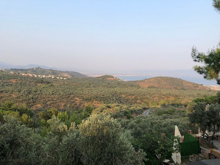 Yorum fotoğrafı 4