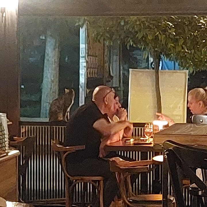 Fotoğraf 31