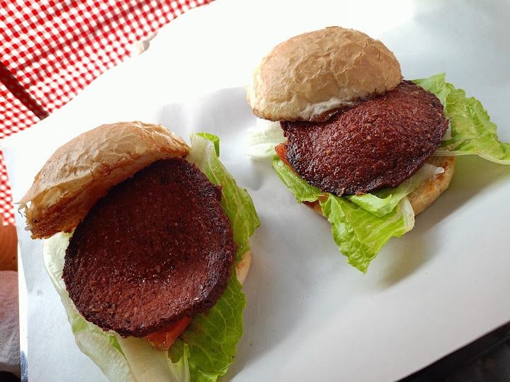 Fotoğraf 12