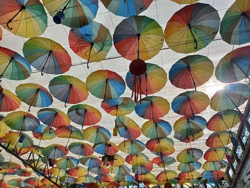 Yorum fotoğrafı 8