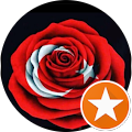 The Soldier of Love TR