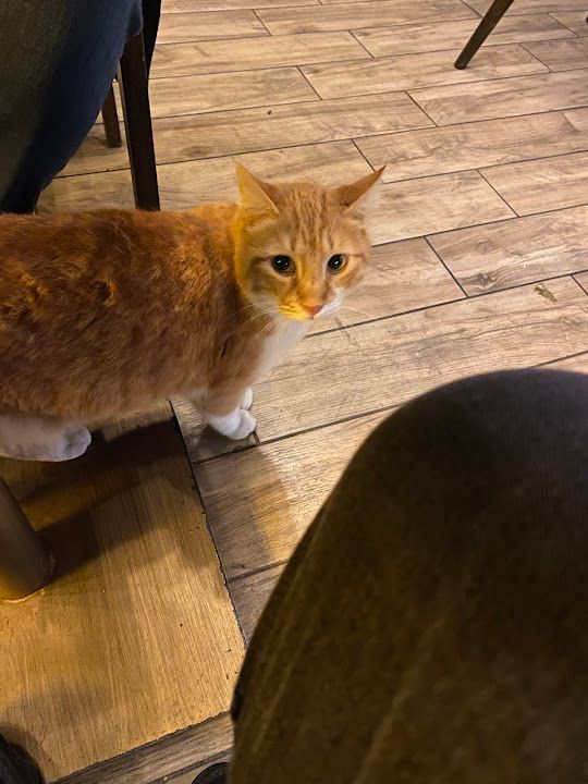 Yorum fotoğrafı 2