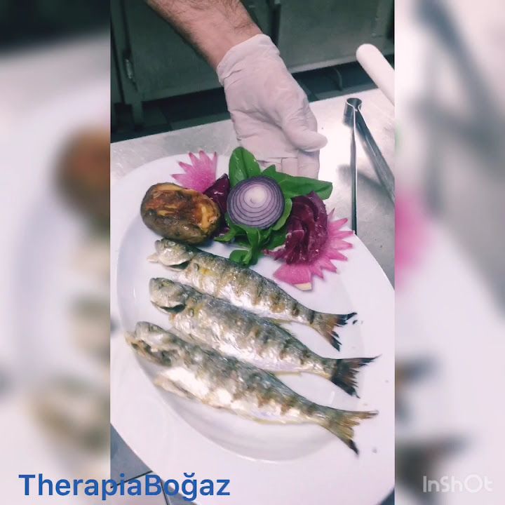 Fotoğraf 33