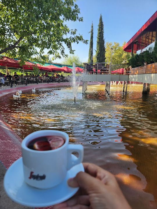 Fotoğraf 37