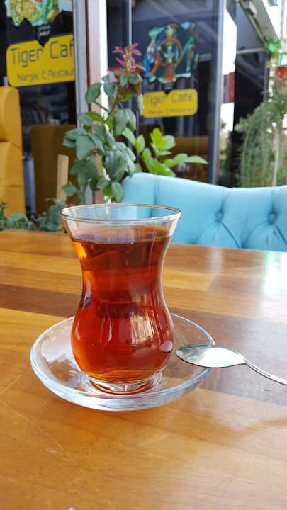 Fotoğraf 15