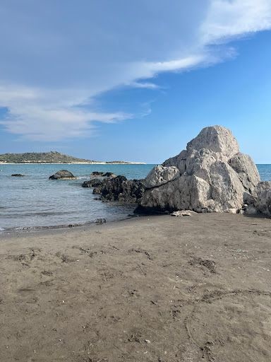 Yorum fotoğrafı 9