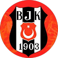 tilki dünyası