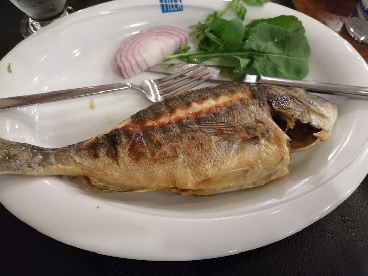 Fotoğraf 25