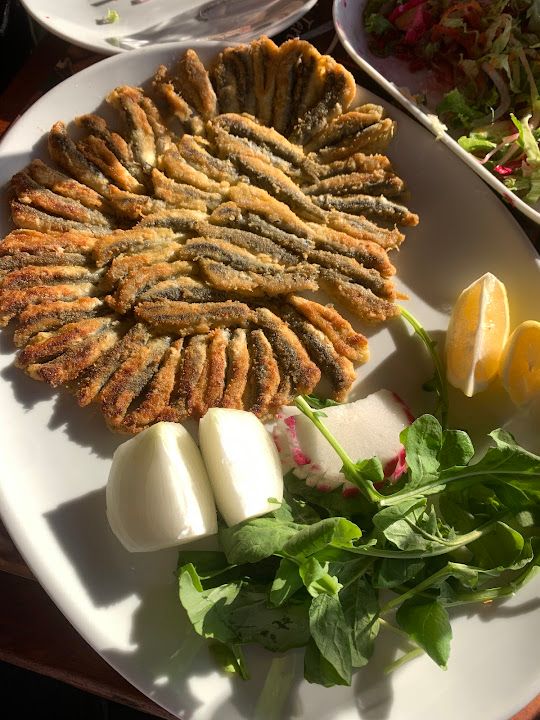 Fotoğraf 14