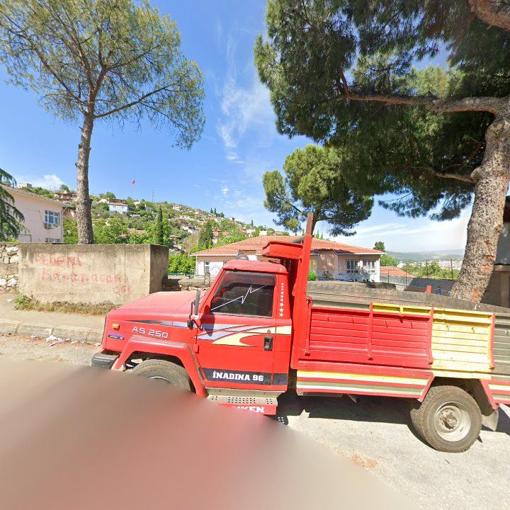 Fotoğraf 8