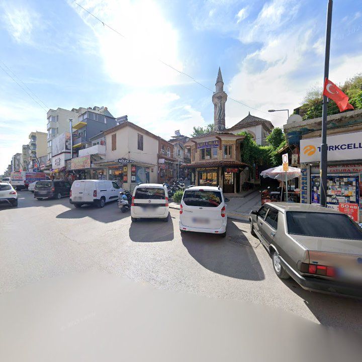 Fotoğraf 7