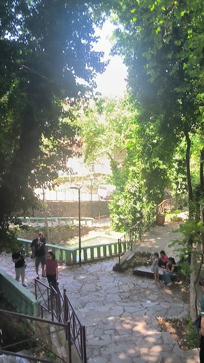 Fotoğraf 37