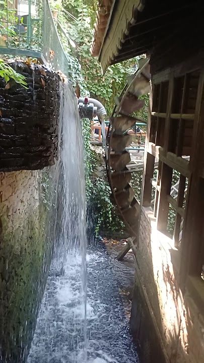Fotoğraf 53