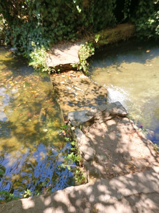 Fotoğraf 57