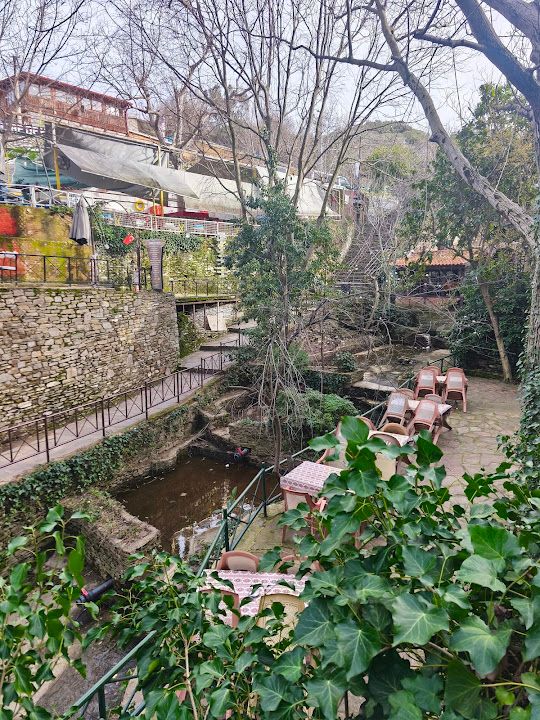 Yorum fotoğrafı 4