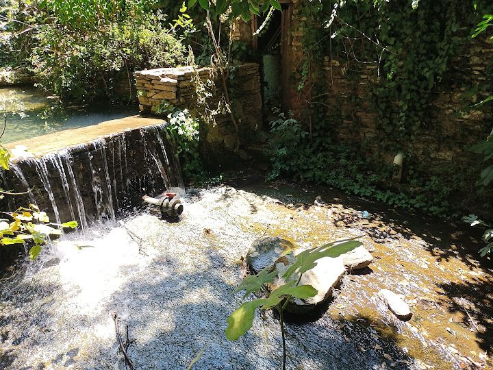 Fotoğraf 56