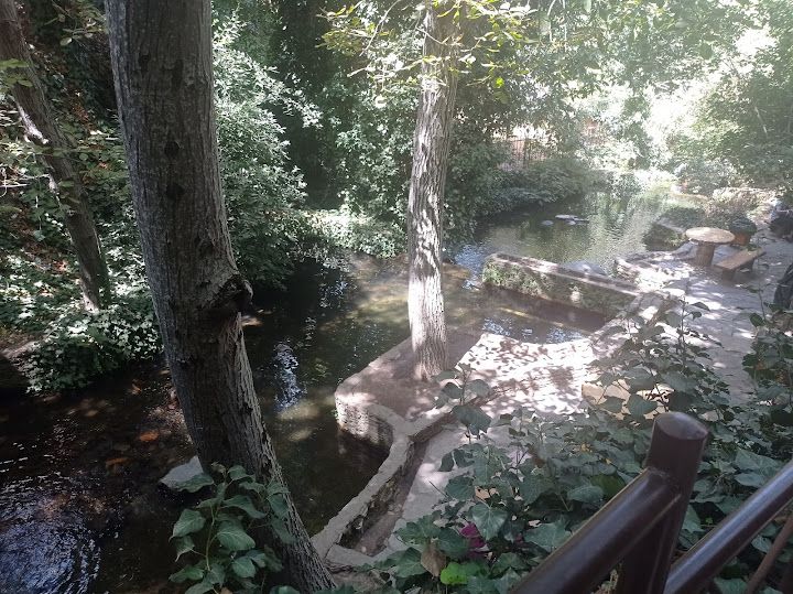 Yorum fotoğrafı 3