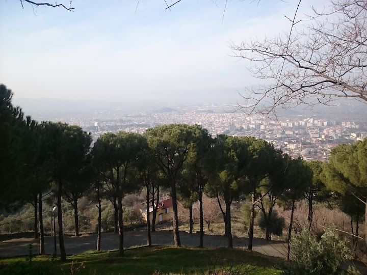 Yorum fotoğrafı 3