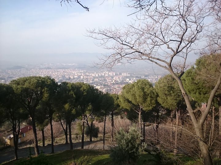 Yorum fotoğrafı 4