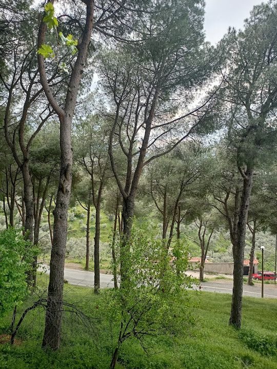 Yorum fotoğrafı 4